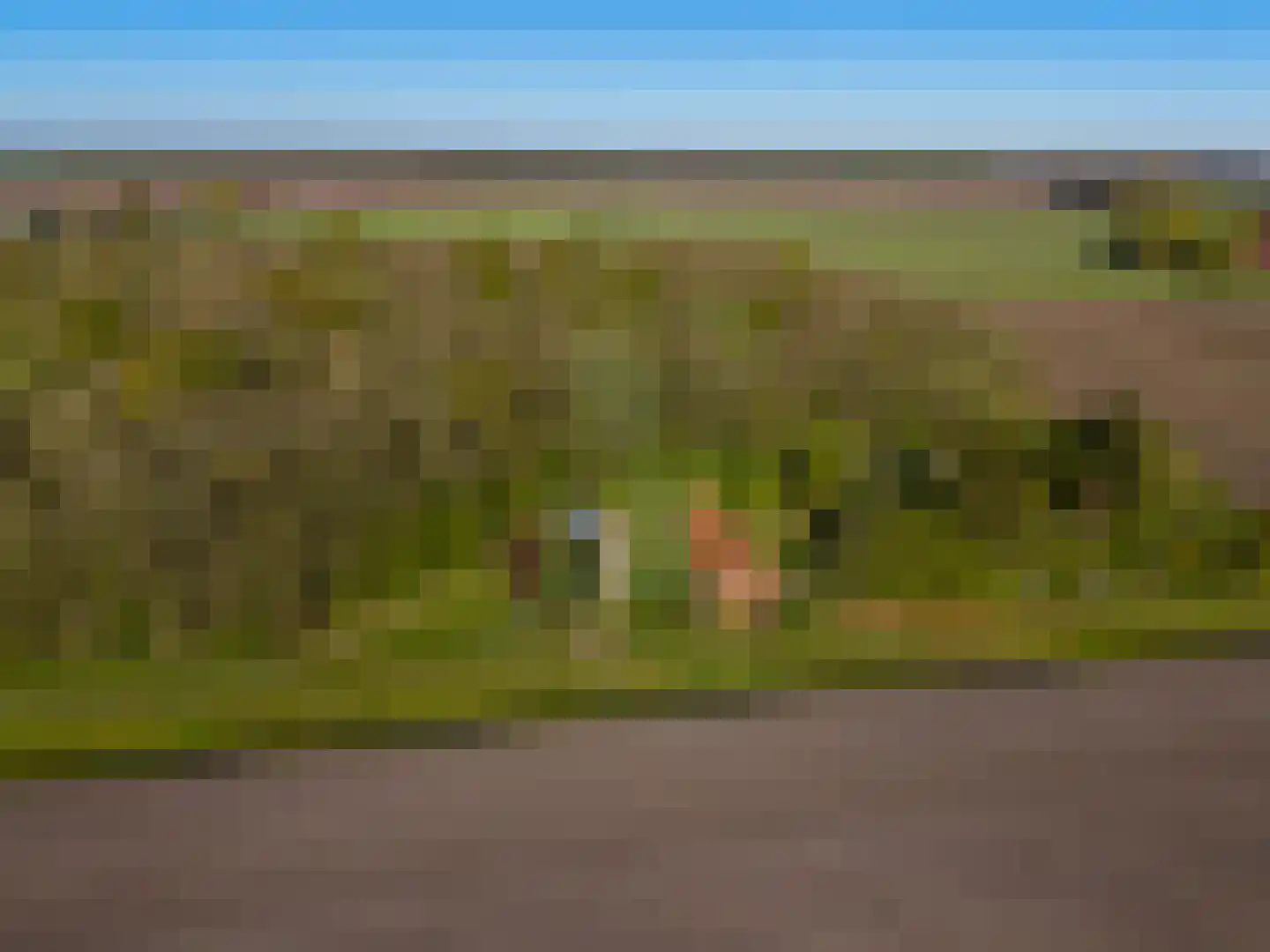 Dwangsweg 13 Noordbroek thumbnail 37