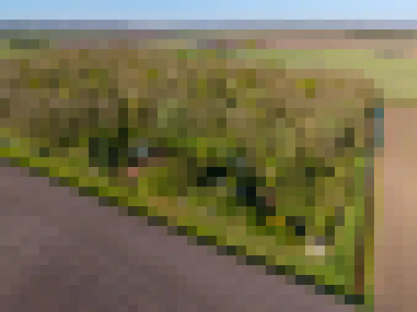 Dwangsweg 13 Noordbroek thumbnail 38