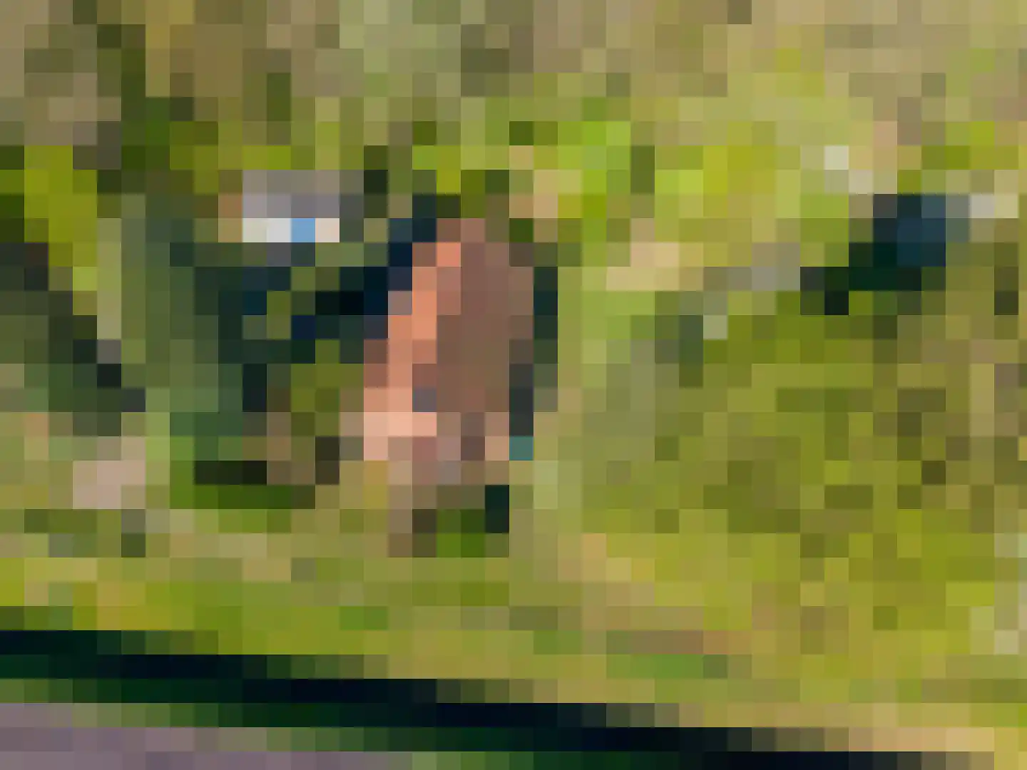 Dwangsweg 13 Noordbroek thumbnail 39