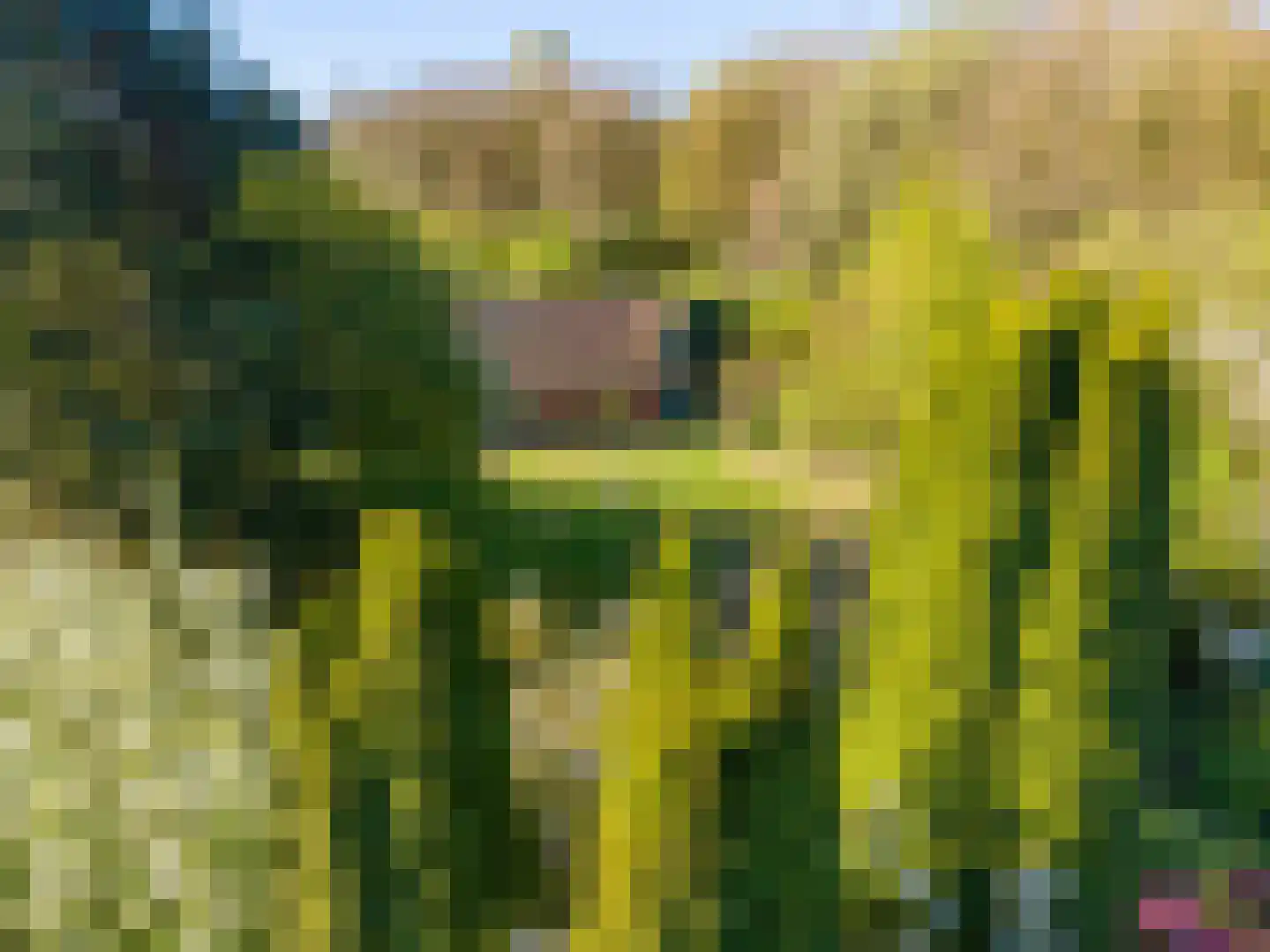 Dwangsweg 13 Noordbroek thumbnail 40