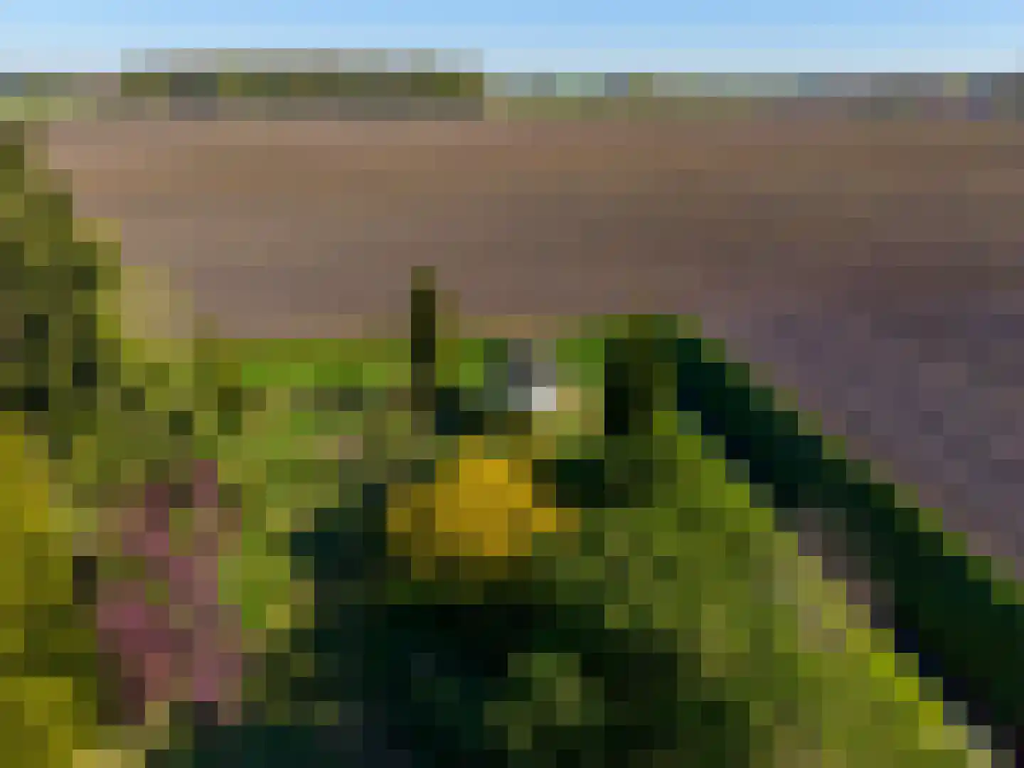 Dwangsweg 13 Noordbroek thumbnail 43