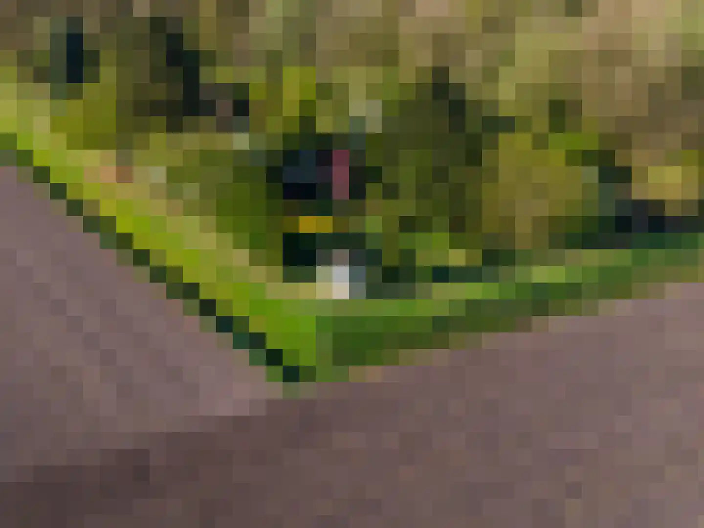 Dwangsweg 13 Noordbroek thumbnail 44
