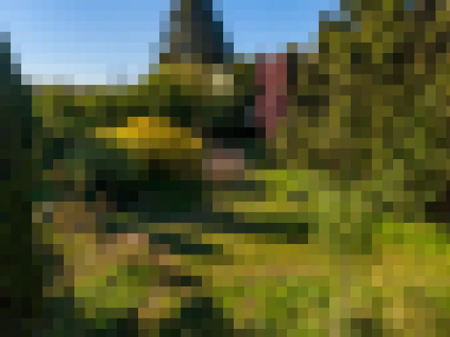 Dwangsweg 13 Noordbroek thumbnail 46