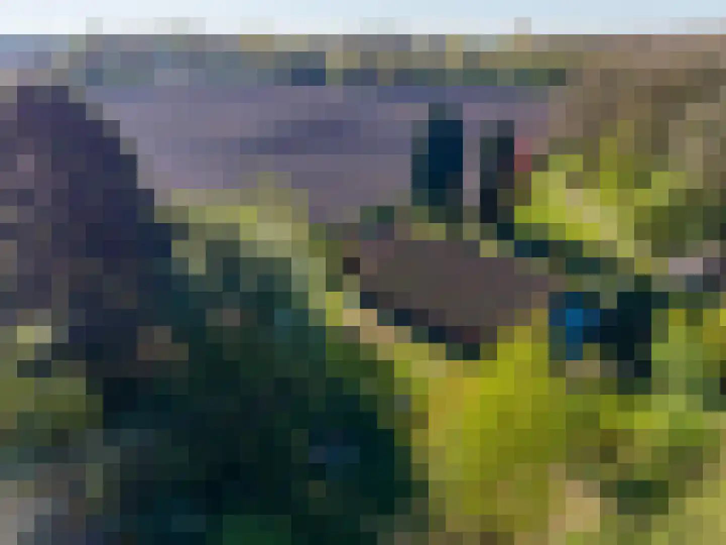 Dwangsweg 13 Noordbroek thumbnail 49
