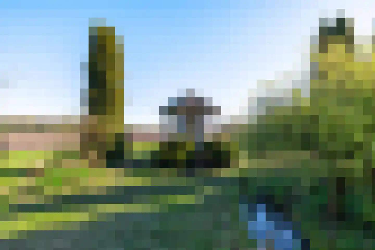 Dwangsweg 13 Noordbroek thumbnail 5