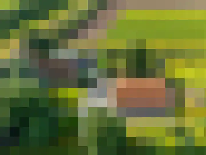 Dwangsweg 27 Noordbroek thumbnail 32