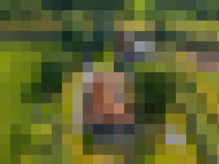 Dwangsweg 27 Noordbroek thumbnail 33