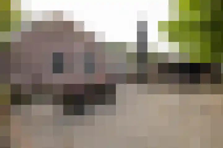 Dwangsweg 27 Noordbroek thumbnail 34