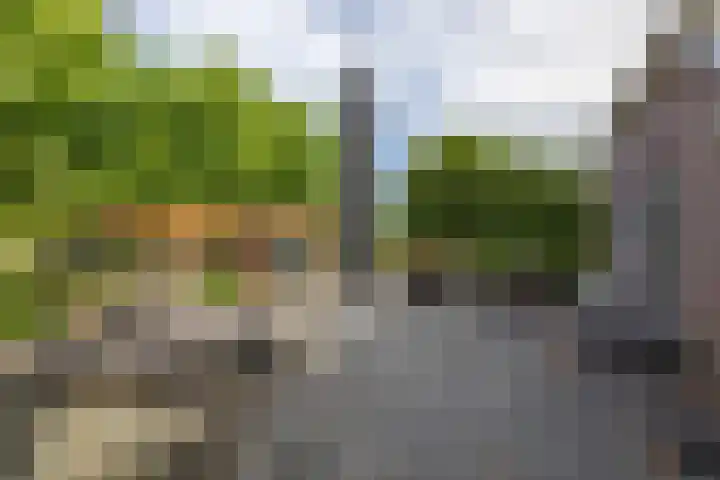 Dwangsweg 27 Noordbroek thumbnail 35