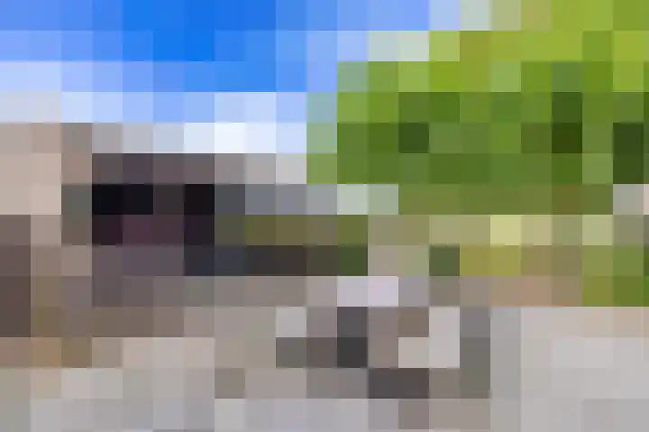 Dwangsweg 27 Noordbroek thumbnail 37