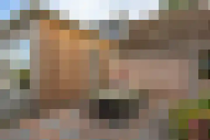 Dwangsweg 27 Noordbroek thumbnail 38