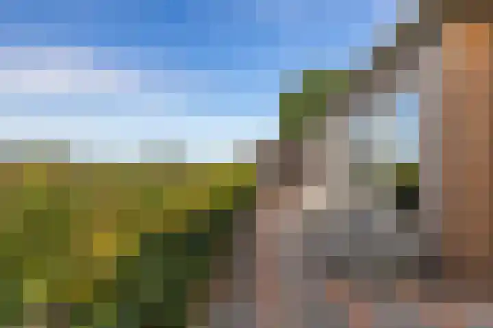 Dwangsweg 27 Noordbroek thumbnail 39