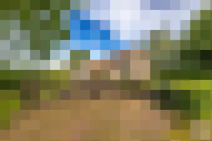 Dwangsweg 27 Noordbroek thumbnail 4