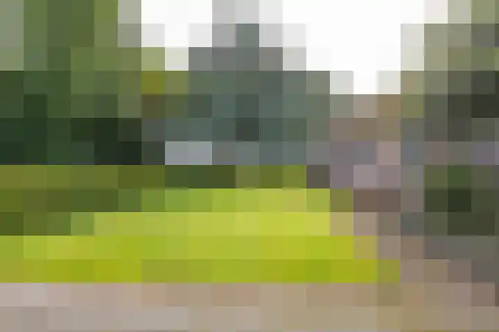 Dwangsweg 27 Noordbroek thumbnail 40