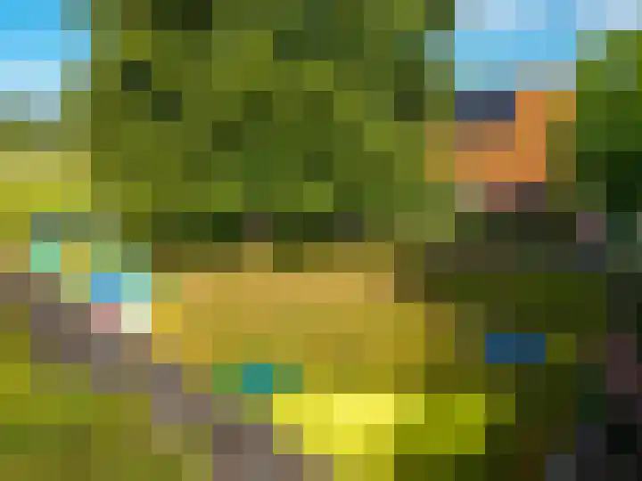 Dwangsweg 27 Noordbroek thumbnail 41
