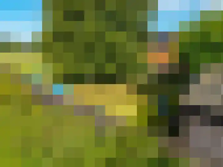 Dwangsweg 27 Noordbroek thumbnail 42