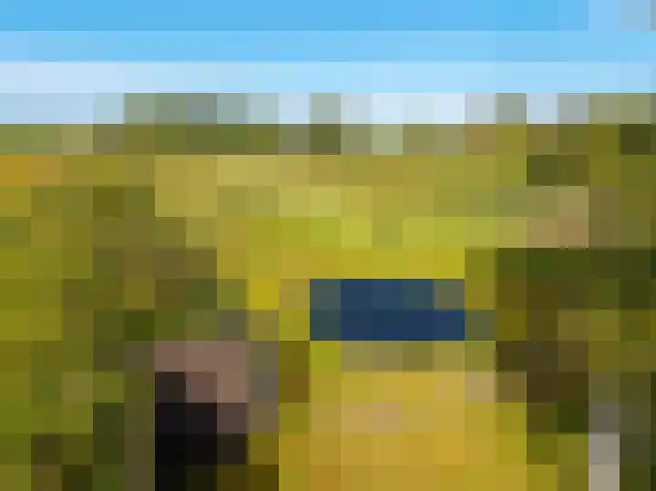 Dwangsweg 27 Noordbroek thumbnail 43