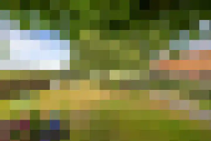 Dwangsweg 27 Noordbroek thumbnail 45