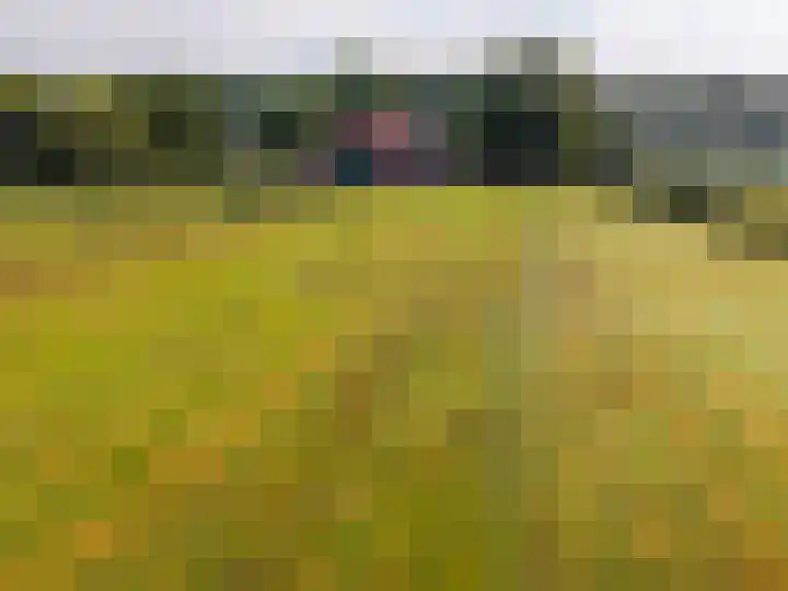 Dwangsweg 27 Noordbroek thumbnail 46