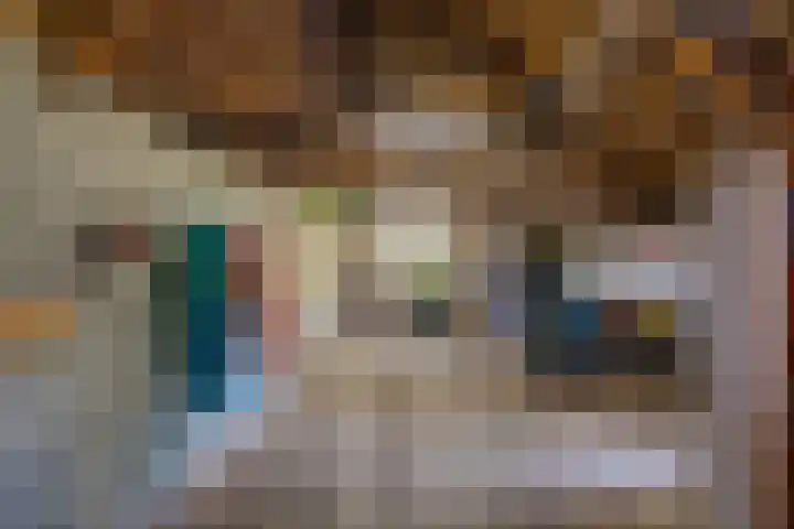 Dwangsweg 27 Noordbroek thumbnail 50