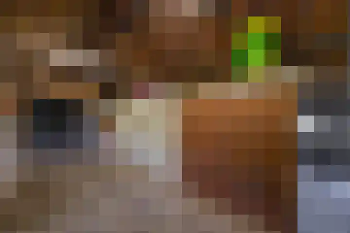 Dwangsweg 27 Noordbroek thumbnail 51