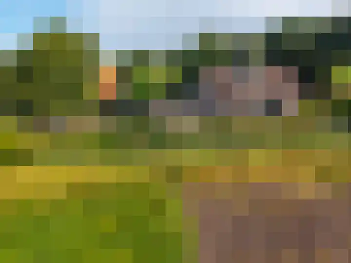 Dwangsweg 27 Noordbroek thumbnail 56