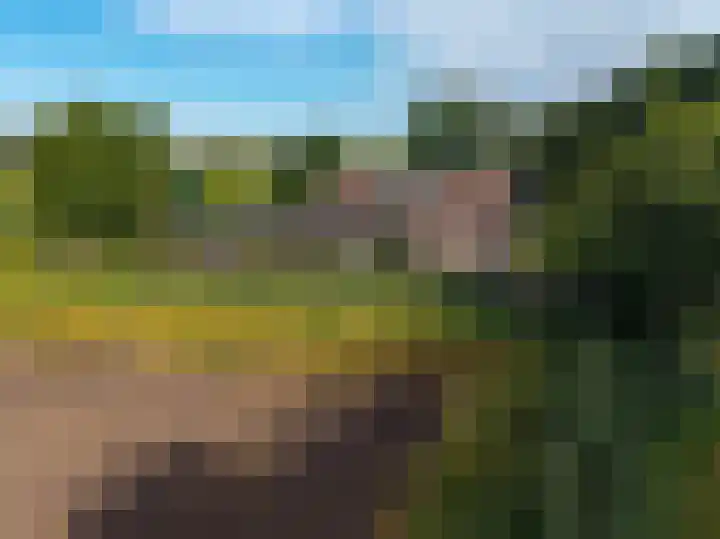 Dwangsweg 27 Noordbroek thumbnail 57