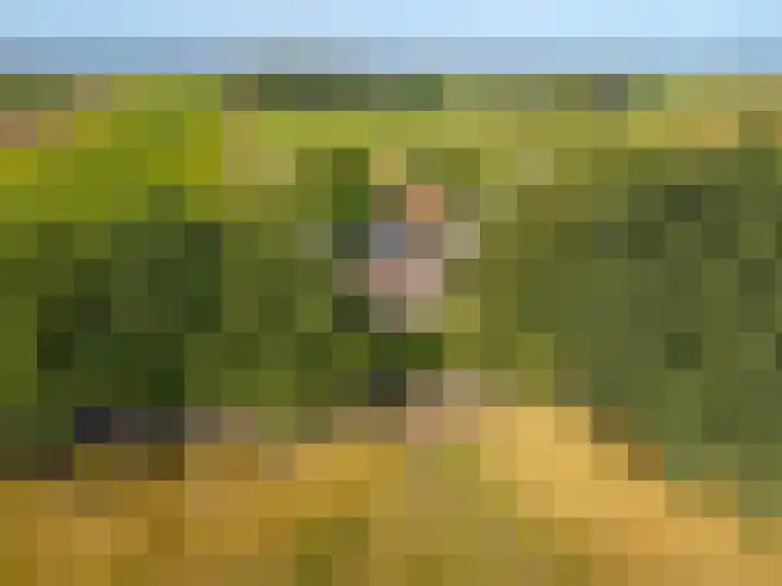 Dwangsweg 27 Noordbroek thumbnail 58
