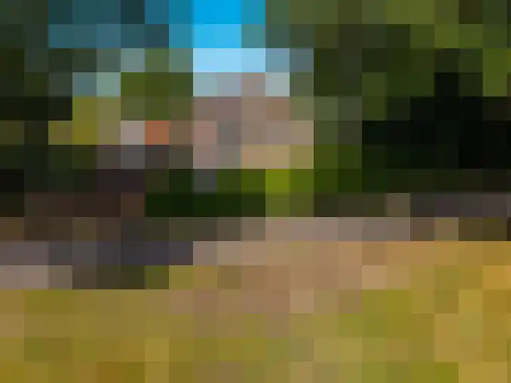 Dwangsweg 27 Noordbroek thumbnail 59