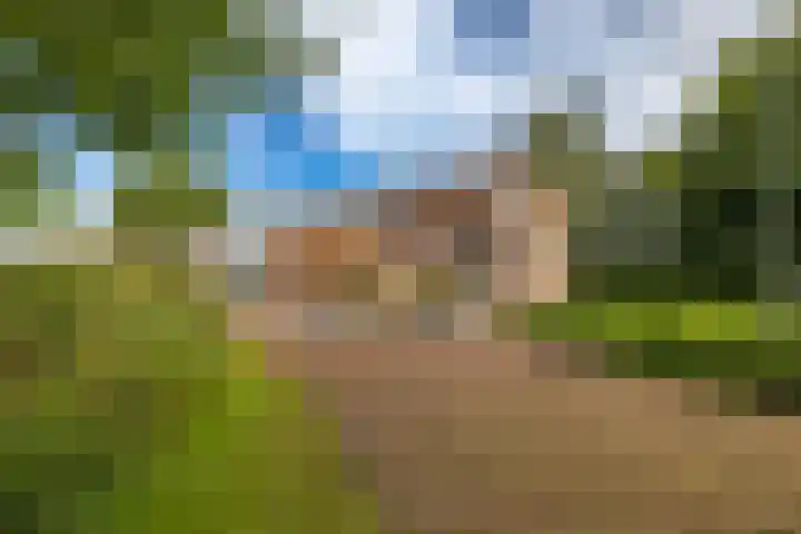Dwangsweg 27 Noordbroek thumbnail 6