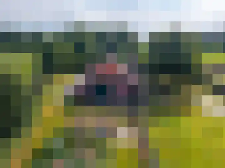 Dwangsweg 27 Noordbroek thumbnail 60