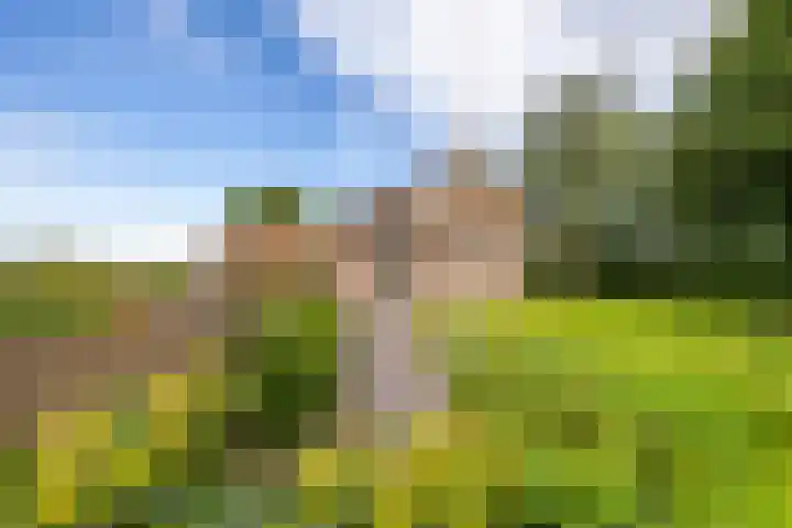 Dwangsweg 27 Noordbroek thumbnail 61