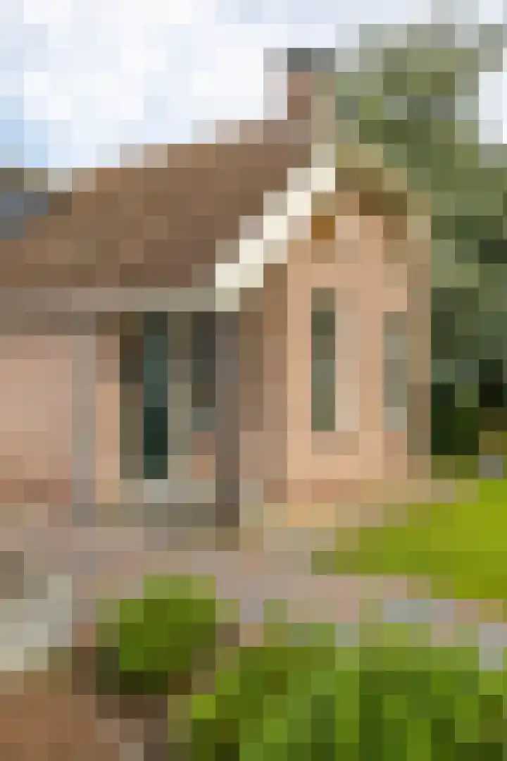 Dwangsweg 27 Noordbroek thumbnail 62