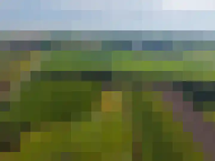 Dwangsweg 27 Noordbroek thumbnail 63
