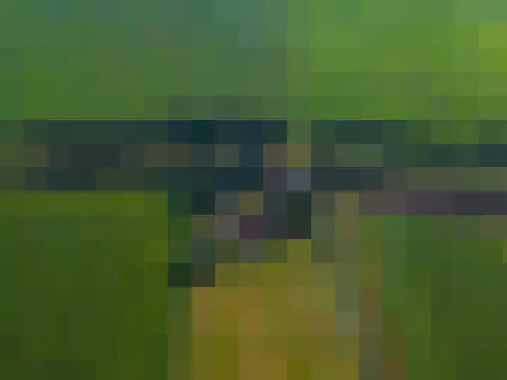 Dwangsweg 27 Noordbroek thumbnail 64