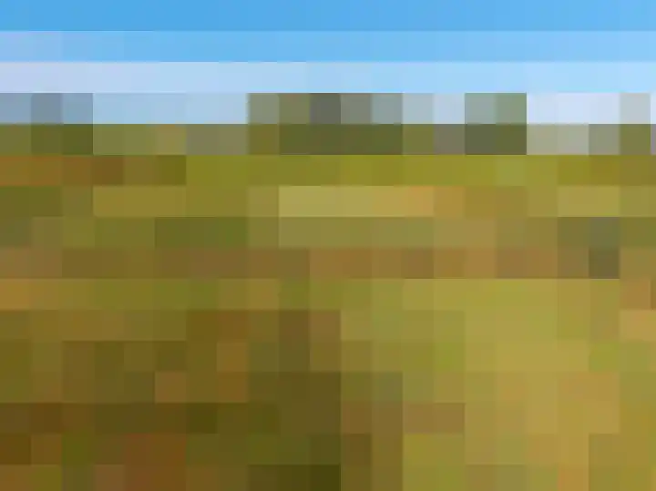 Dwangsweg 27 Noordbroek thumbnail 65