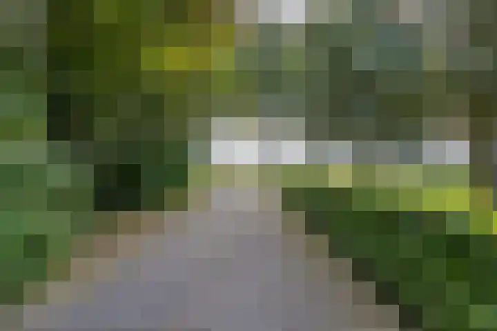 Dwangsweg 27 Noordbroek thumbnail 66