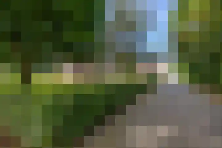 Dwangsweg 27 Noordbroek thumbnail 67