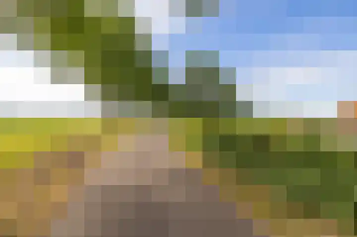 Dwangsweg 27 Noordbroek thumbnail 68