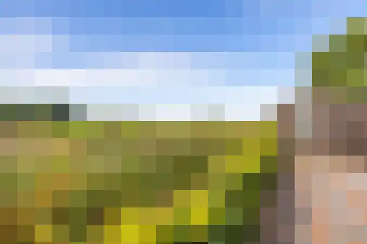 Dwangsweg 27 Noordbroek thumbnail 69