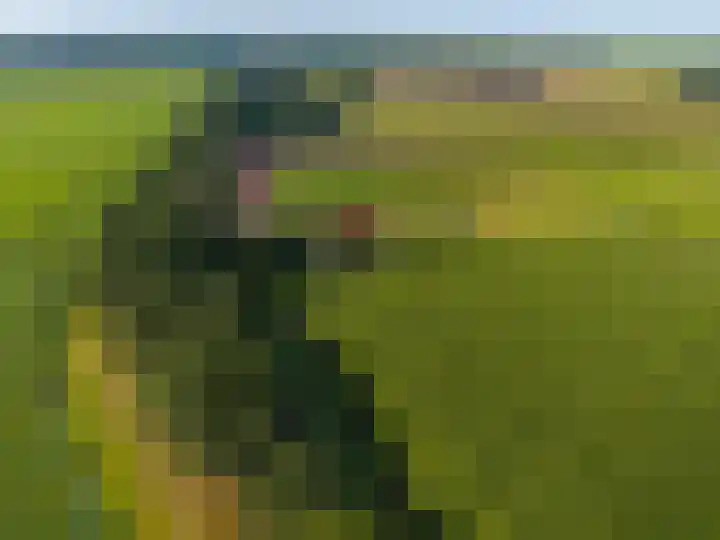 Dwangsweg 27 Noordbroek thumbnail 70