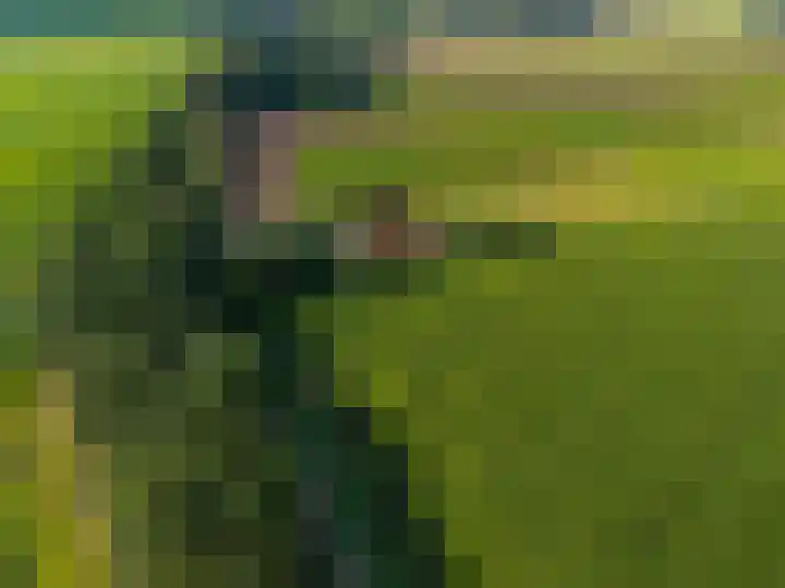 Dwangsweg 27 Noordbroek thumbnail 71