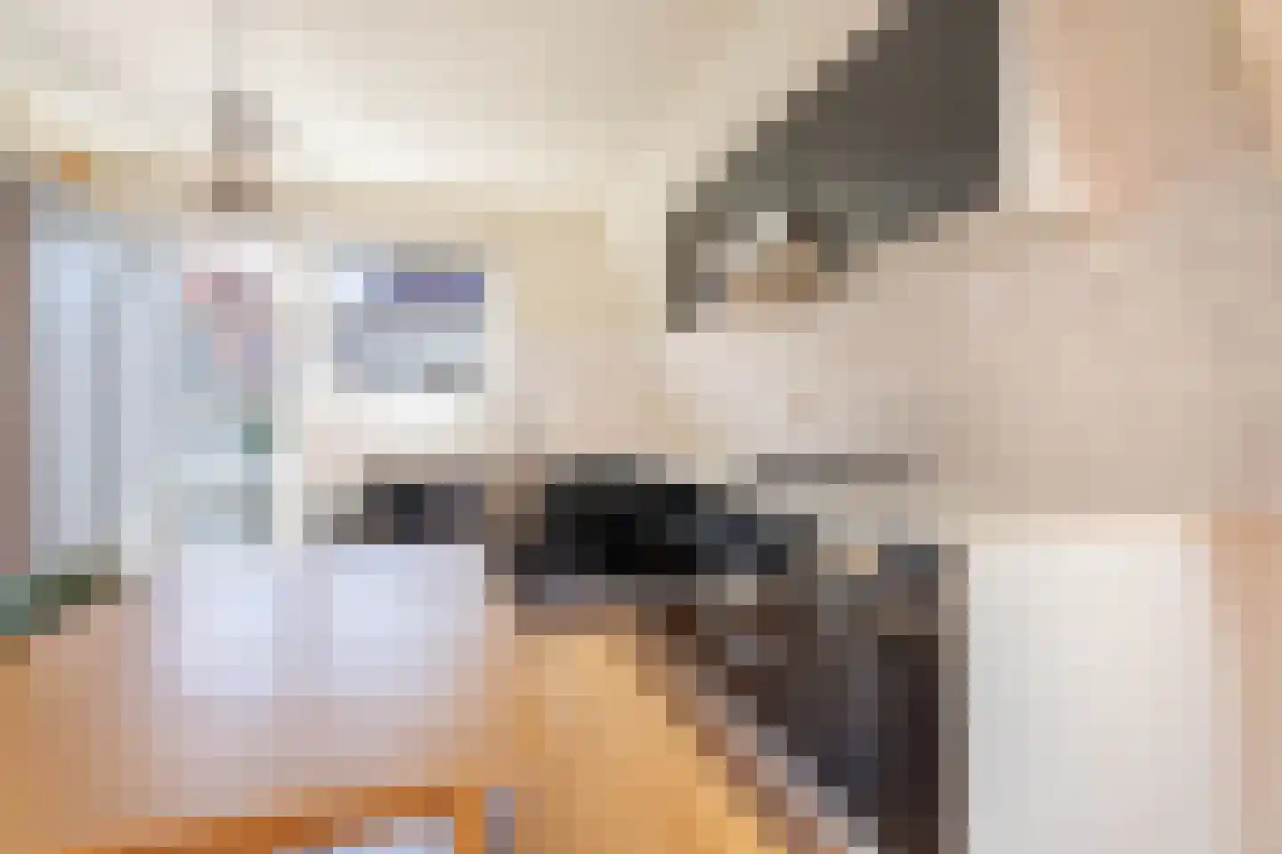 Dwars Bolwerkstraat 3 B Leiden thumbnail 13