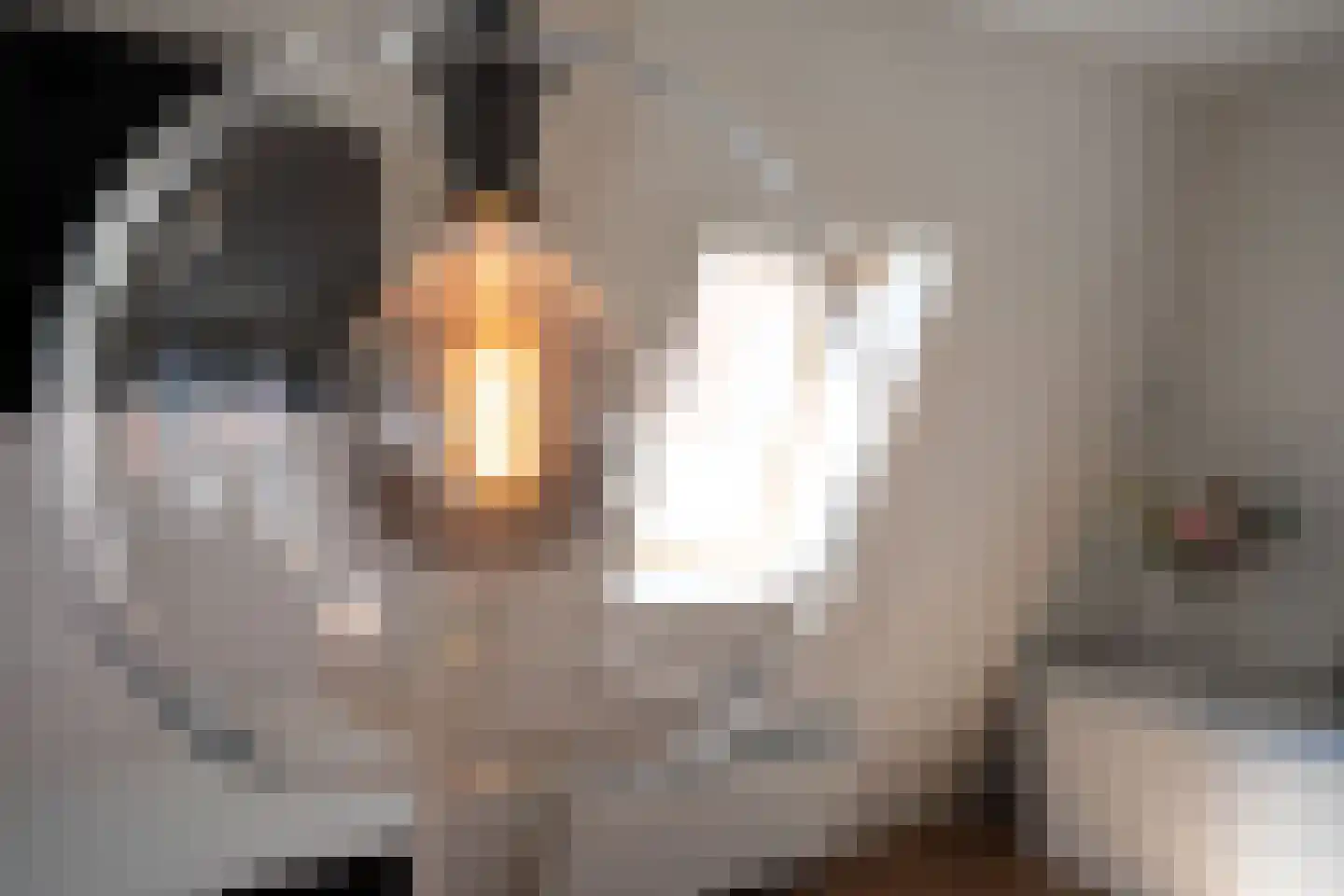 Dwars Bolwerkstraat 3 B Leiden thumbnail 14