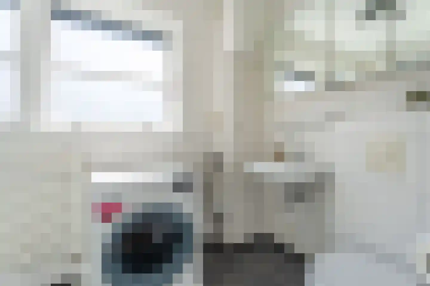 Dwars Bolwerkstraat 3 B Leiden thumbnail 20