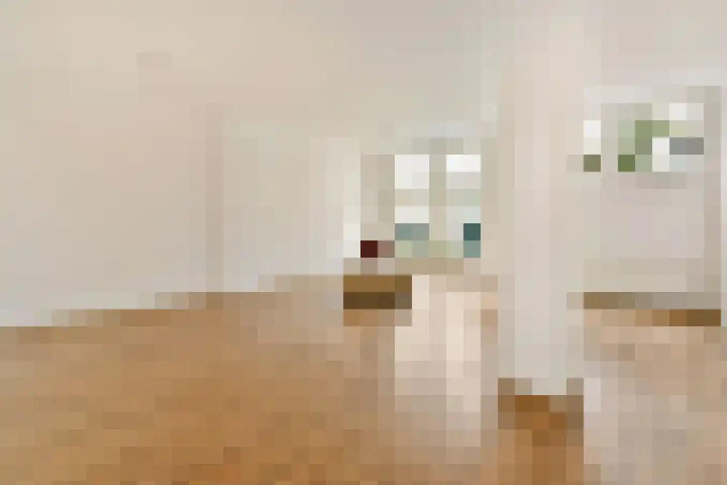 Dwars Bolwerkstraat 3 Leiden thumbnail 10