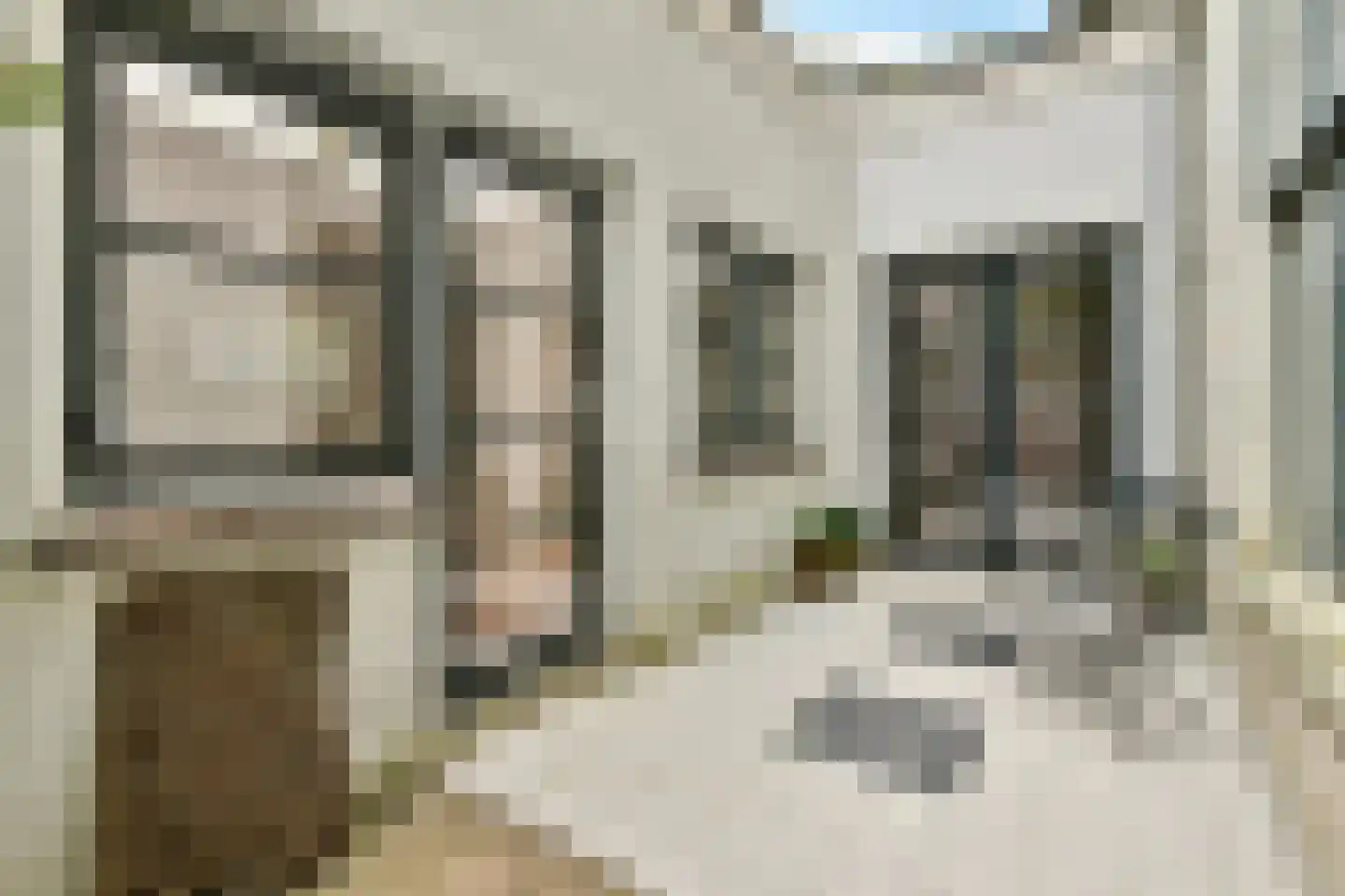 Dwars Bolwerkstraat 3 Leiden thumbnail 4