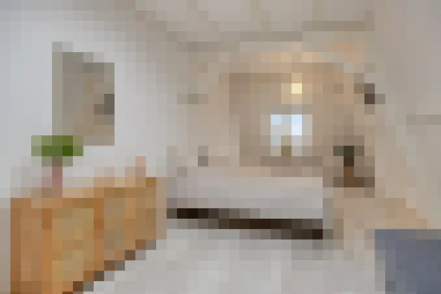 Dwars Koornbrugsteeg 8 Leiden thumbnail 47