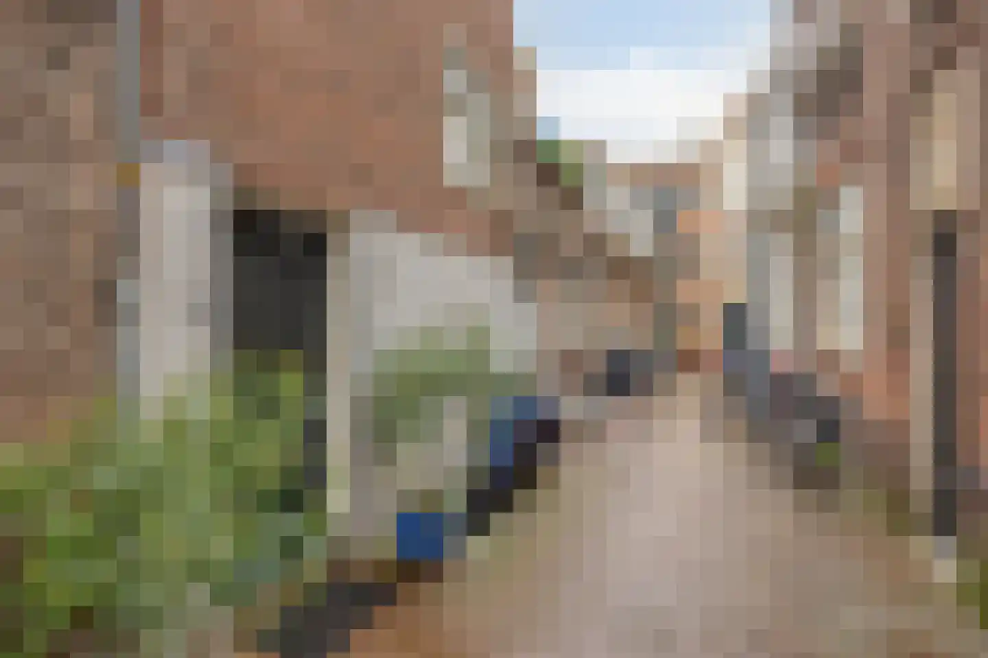 Dwars Koornbrugsteeg 8 Leiden thumbnail 56