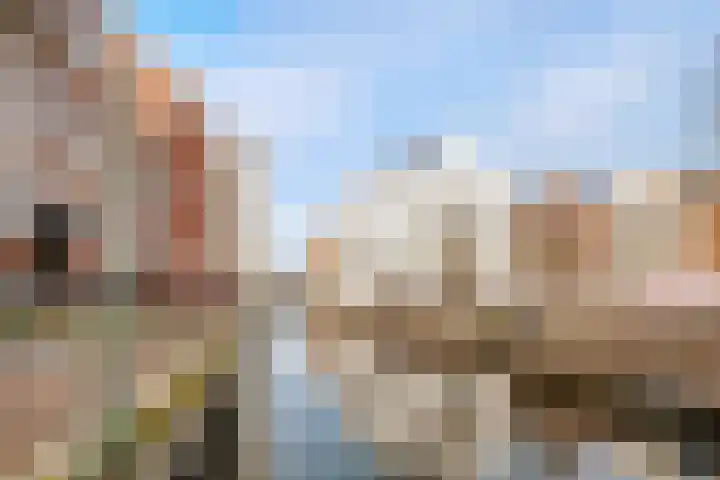 Logotipo de Dwars Makelaars - Weert